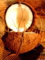 split-coconut